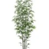 7′ Mini Green Stem Bamboo Tree In Pot Two Tone Green