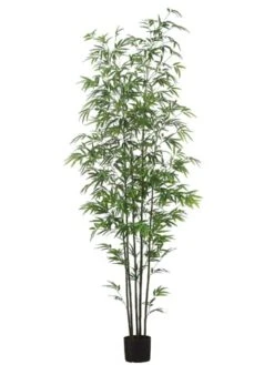 7′ Mini Green Stem Bamboo Tree In Pot Two Tone Green