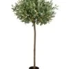 4′ Eucalyptus Topiary Tree In Pot Frosted Green