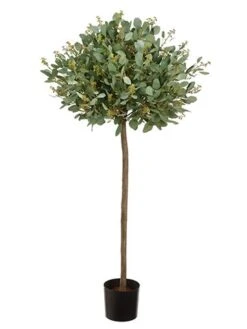4′ Eucalyptus Topiary Tree In Pot Frosted Green