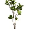 7′ Fiddle Leaf Tree In Pot Green