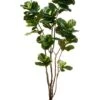 8′ Fiddle Leaf Tree In Pot Green