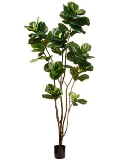 8′ Fiddle Leaf Tree In Pot Green