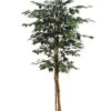 6′ Ficus Tree With 1008 Leaves In Pot Green