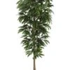 6.5′ Mango Tree In Plastic Pot Two Tone Green