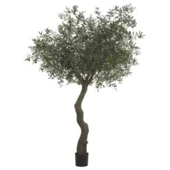 7′ Olive Tree With 10064 Leaves And 180 Olives In Plastic Pot Knock-down Packing