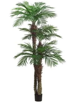 9’+7’+5′ Tropical Areca Palm Tree X3 With 1364 Leaves In Pot (knock-down Packing) Green