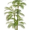 76″ Areca Palm Tree In Plastic Nursery Pot Green