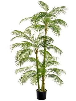 76″ Areca Palm Tree In Plastic Nursery Pot Green