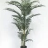 6′ Areca Palm Tree In Pot Green