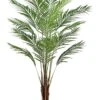 6′ Areca Palm Tree X15 With 567 Leaves In Pot (knock-Down Packing ?) Green