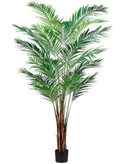 7′ Areca Palm Tree X19 With 739 Leaves In Pot (knock-down packing) Green