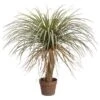31″ Desert Palm Tree In Plastic Pot Green Beige