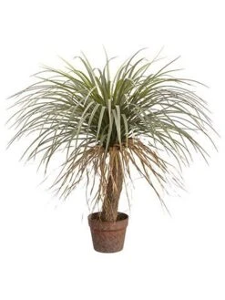 31″ Desert Palm Tree In Plastic Pot Green Beige