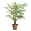 42″ Areca Palm Tree In Clay Pot Green