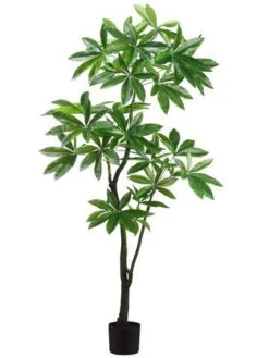 6′ EVA Pachira Aquatica Tree Green