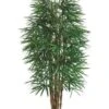 6′ Rhapis Tree X6 With 1502 Leaves In Pot Green