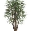 7′ Honey Lady Palm Tree X17 with 1062 Leaves In Pot Two Tone Green