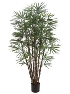 7′ Honey Lady Palm Tree X17 with 1062 Leaves In Pot Two Tone Green