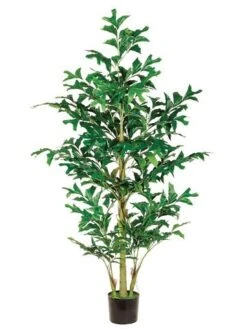 6′ Fishtail Palm Tree With 370 Leaves In Pot Green