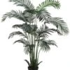 6′ Areca Palm Tree X18 In Plastic Pot Green