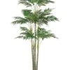 6′ Areca Palm Tree X26 In Plastic Pot Green