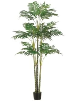 6′ Areca Palm Tree X26 In Plastic Pot Green