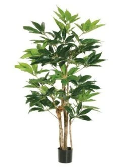 4′ Schefflera Tree With 227 Leaves In Pot Green