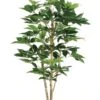 5′ Schefflera Tree W/317 Leaves In Pot Green
