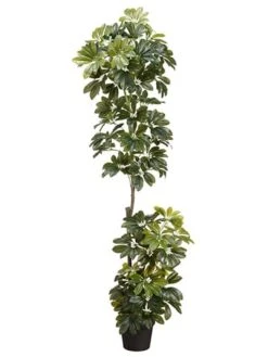 56″ EVA Schefflera Wall Plant in Pot Green