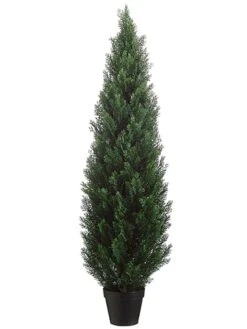 60″ Cedar Topiary In Plastic Pot Green