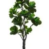 6′ Eva Fiddle Plant W/144 Leaves In Black Plastic Pot Green