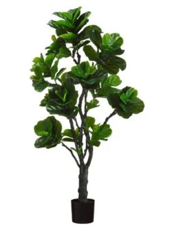 6′ Eva Fiddle Plant W/144 Leaves In Black Plastic Pot Green