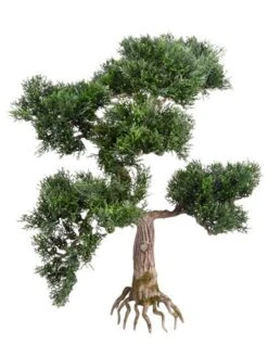16″ Cedar Bonsai Green