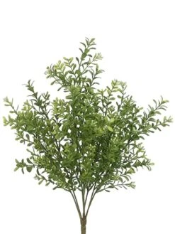 17″ Boxwood Bush X7 Two Ton Green