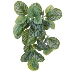 22″ Real Touch Calathea Hanging Bush Green Two Tone