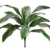 26″ Cordyline Bush With 15 Leaves Green White