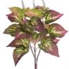 19″ Large Leaf Coleus Leaf Bush Green