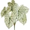 23″ Caladium Leaf Bush X7 Two Tone Green