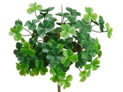 11″ Clover Bush X9 Green