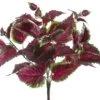 16″ UV Protected Coleus Bush Burgundy Green