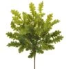 18″ Dusty Miller Bush Green