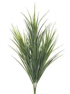 33″ Dracaena Bush W/145 Leaves Green White