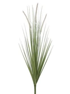 36″ Dogtail Bush Green