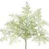 8″ Dusty Miller Bush Green Gray