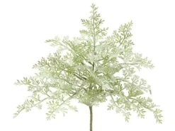 8″ Dusty Miller Bush Green Gray