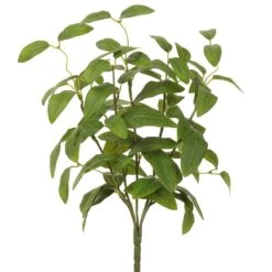 15″ Eucalyptus BusH X 5 Green