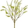 19″ Mini Eucalyptus Bush X5 Green
