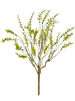 19″ Mini Eucalyptus Bush X5 Green