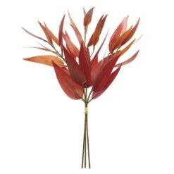 15″ Eucalyptus Leaf Bundle Rust